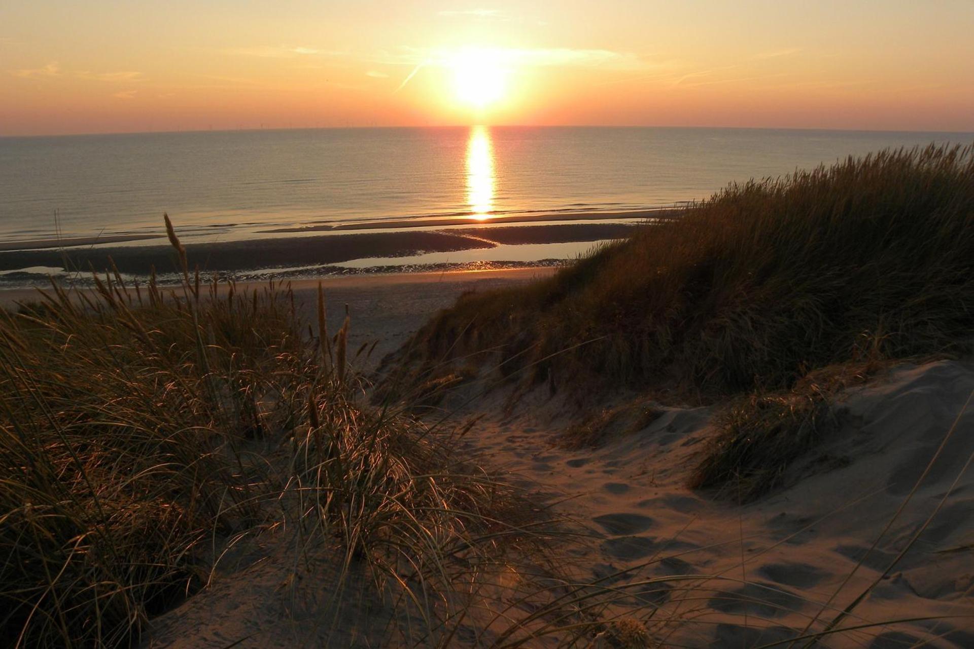 Apartament Ammophila 1 Egmond aan Zee Zewnętrze zdjęcie